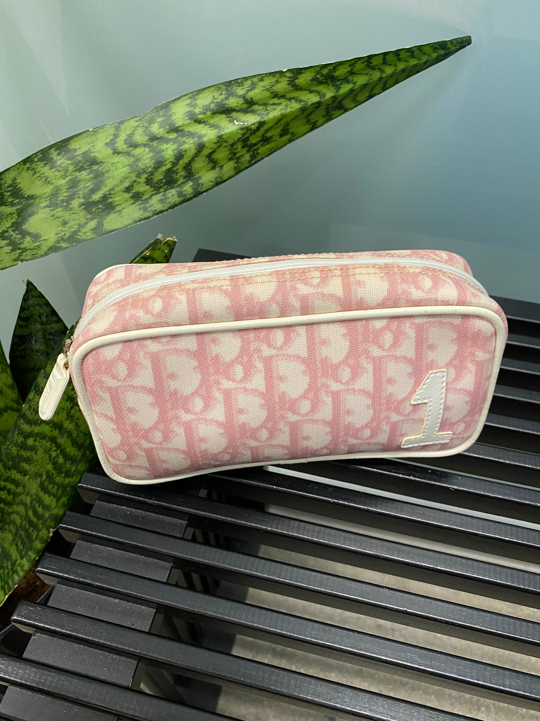 Christian Dior Pink Trotter Pouch (9966)