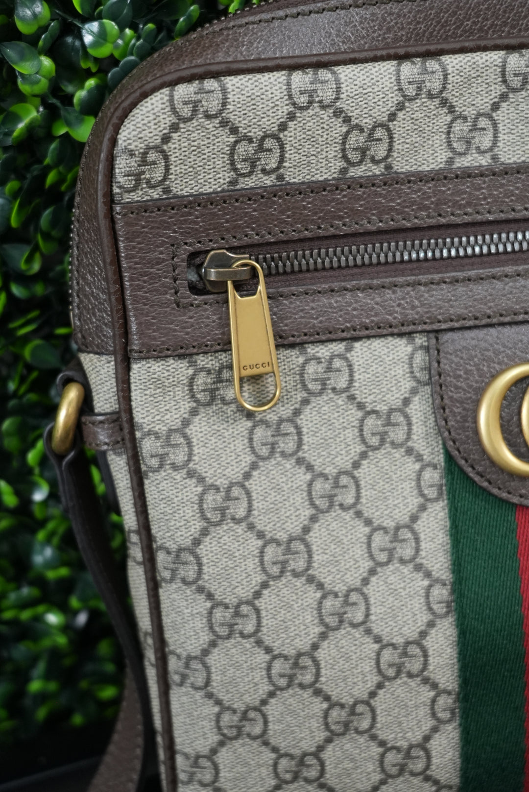 Gucci Ophidia Crossbody