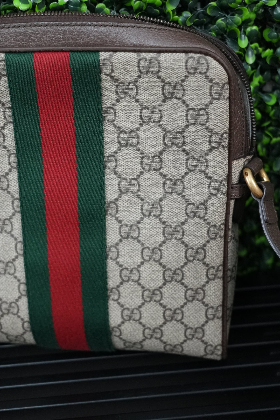 Gucci Ophidia Crossbody