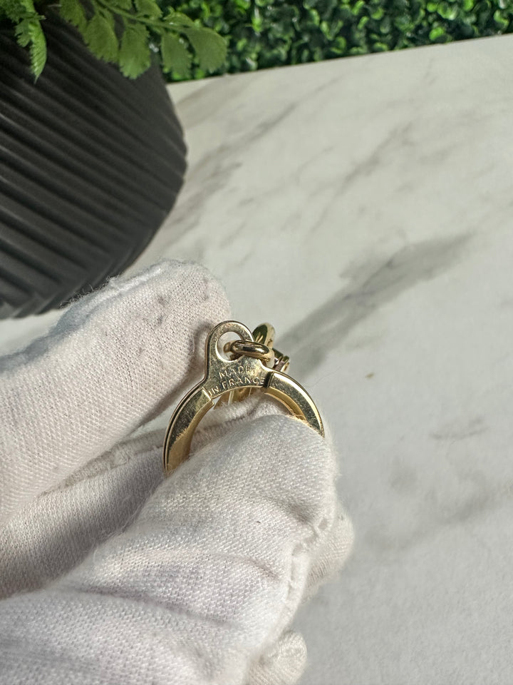 Louis Vuitton Pochette Extender/Bag Charm (1213)