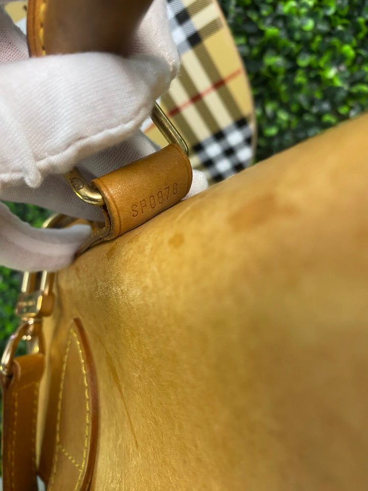 Louis Vuitton Damier Ebene Clipper Luggage Bag (4323)
