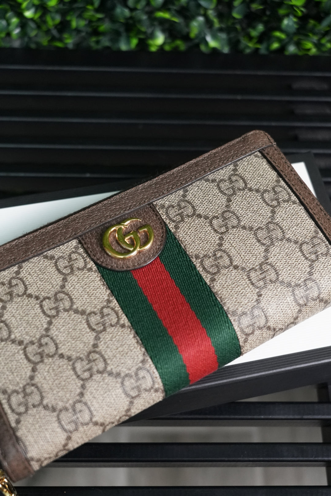 Gucci Supreme Ophidia Zippy