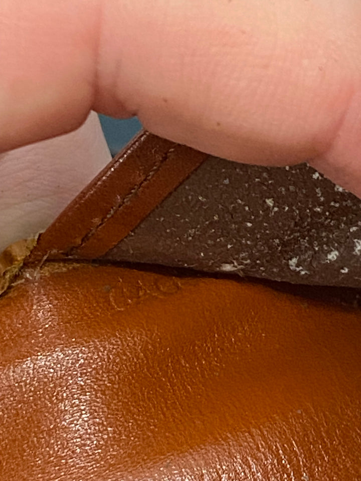 Louis Vuitton Cedar Epi International Long Wallet (9836)