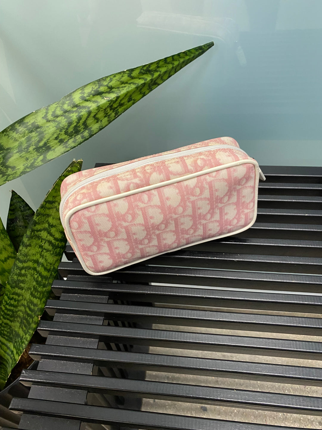 Christian Dior Pink Trotter Pouch (9966)